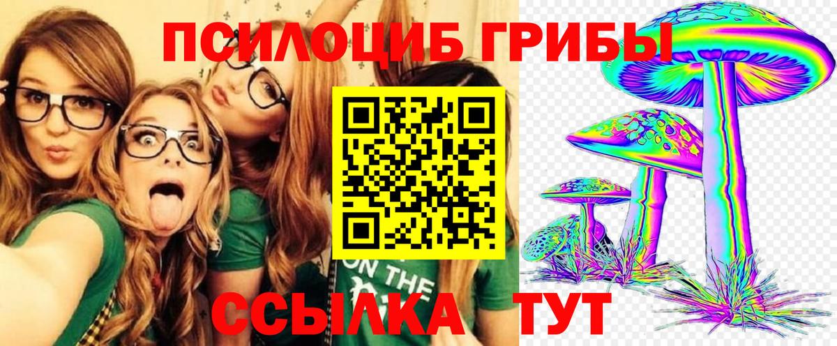 Галлюциногенные грибы MAGIC MUSHROOMS Астрахань