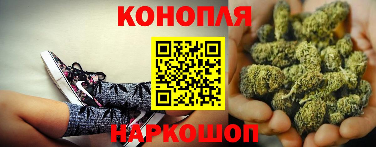 Канабис OG Kush Астрахань